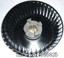 ���䘷(l��)��ձ�ɢ���L(f��ng)��